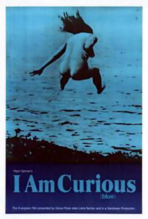 《我好奇之蓝》电影封面