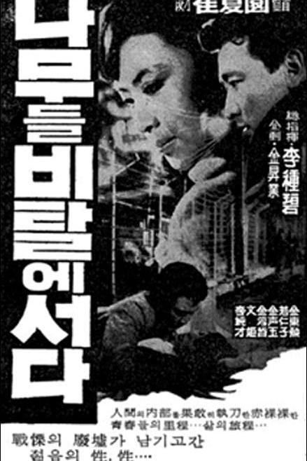 《树长在土坡上》电影封面