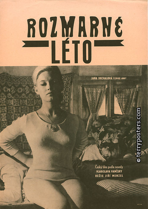 《反复无常的夏天》电影封面