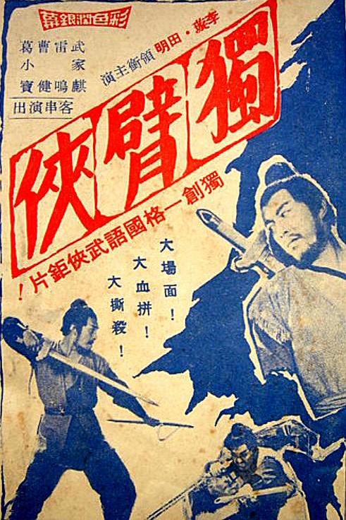 《独臂侠》电影封面