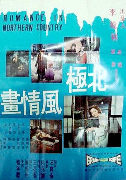 《北极风情画》电影封面