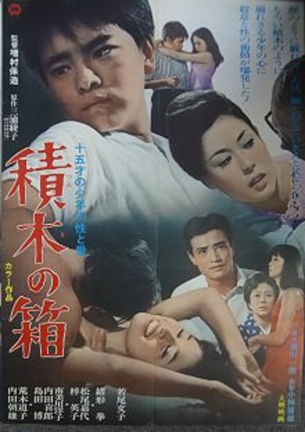 《积木之箱》电影封面