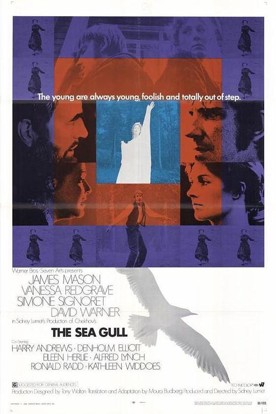 《海鸥》电影封面