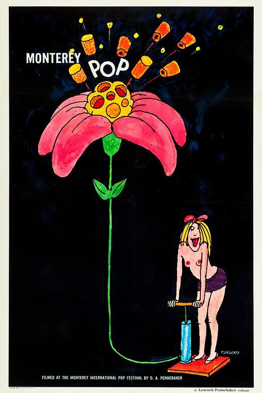 《蒙特雷流行音乐节》音乐封面