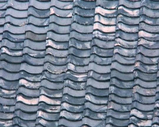 《京都》纪录片封面