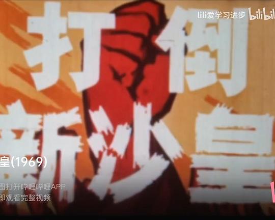 《打倒新沙皇》纪录片封面