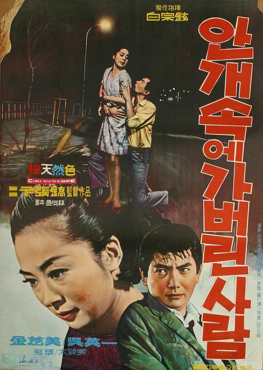 《雾中离去的人》电影封面