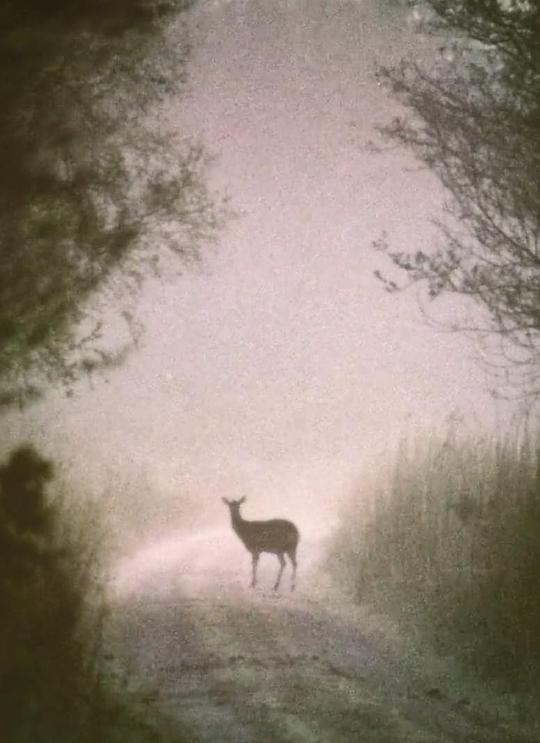 《莪相》纪录片封面