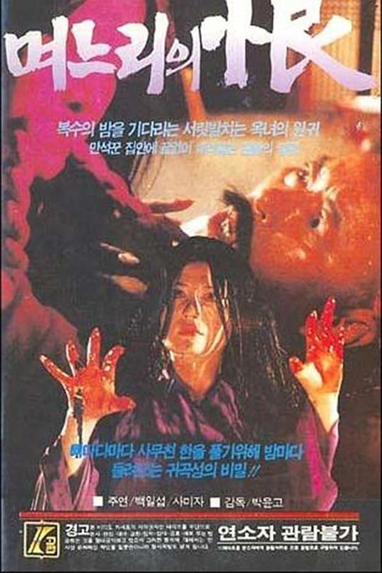 《幽怨的儿媳》电影封面