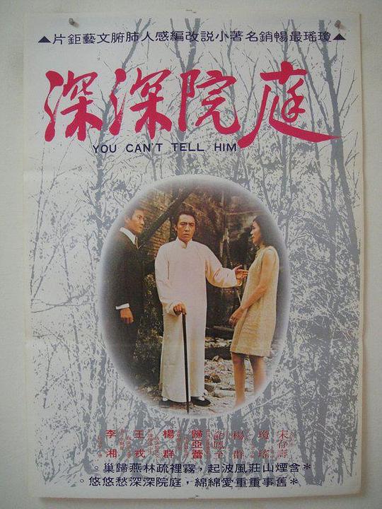 《庭院深深》电影封面