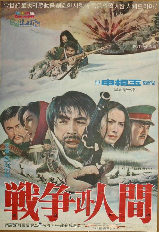 《战争与人间》电影封面