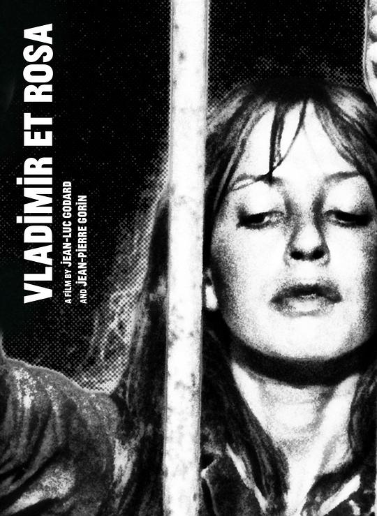 《弗拉基米尔和罗莎》电影封面