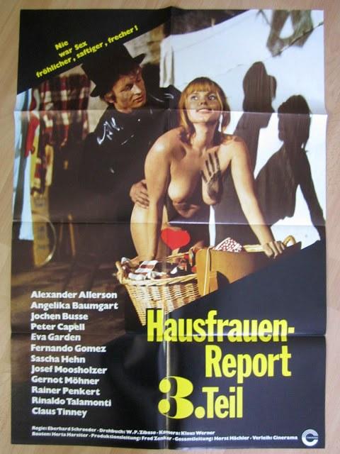 《家庭主妇报告》电影封面