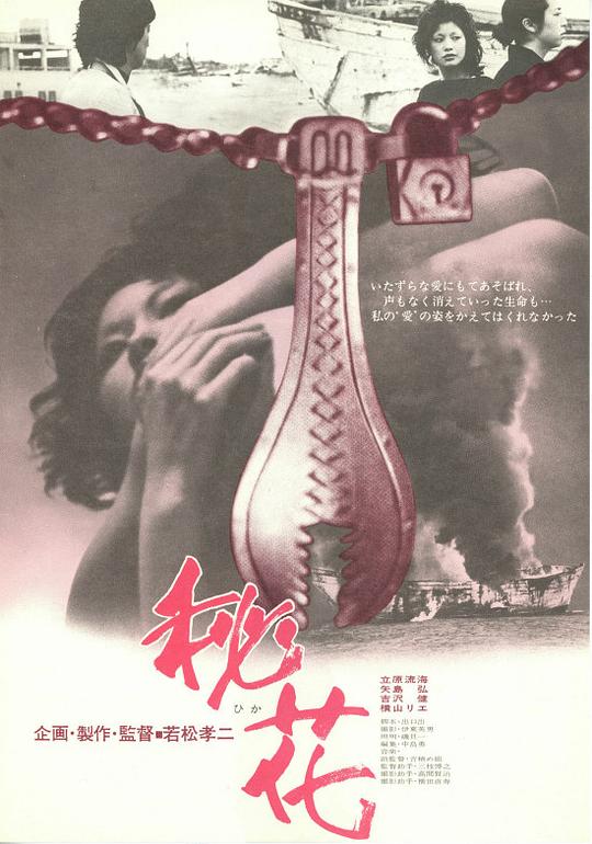 《秘花》电影封面