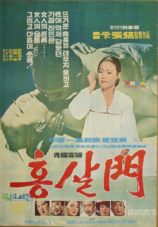 《女人之门》电影封面