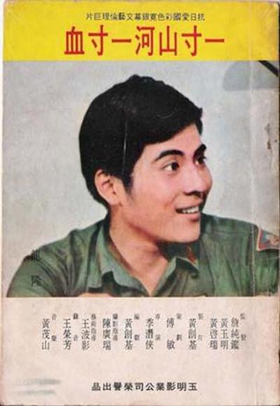 《一寸山河一寸血》电影封面