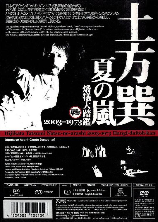 《夏之岚》纪录片封面