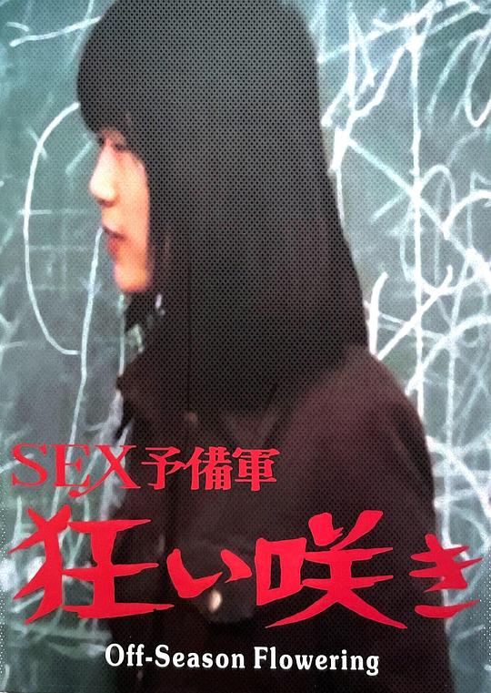 《淡季花开》电影封面