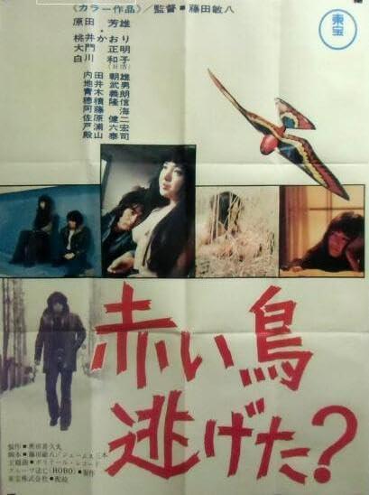 《红鸟逃跑了?》电影封面