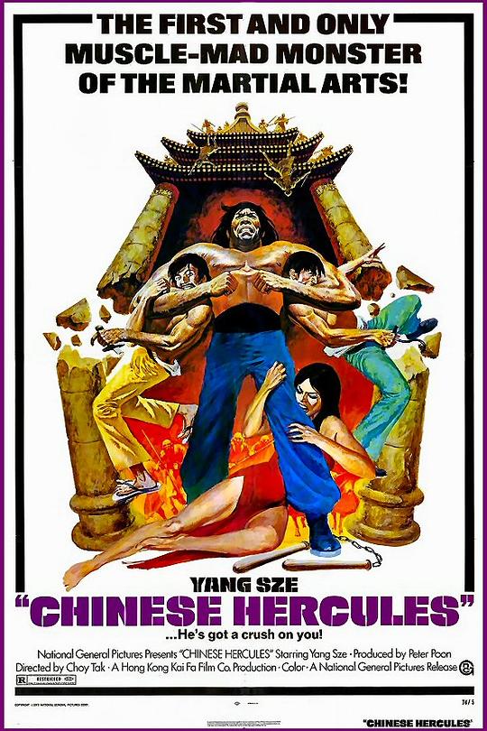 《码头大决斗》电影封面