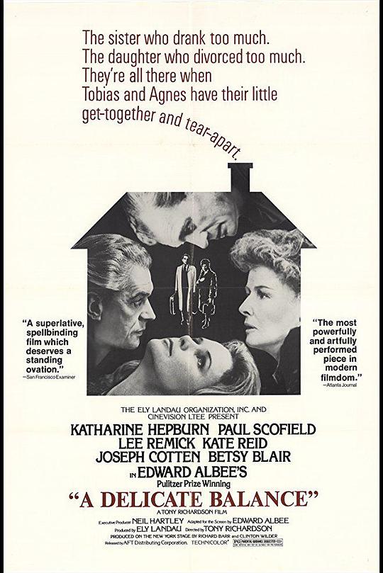 《微妙的平衡》电影封面