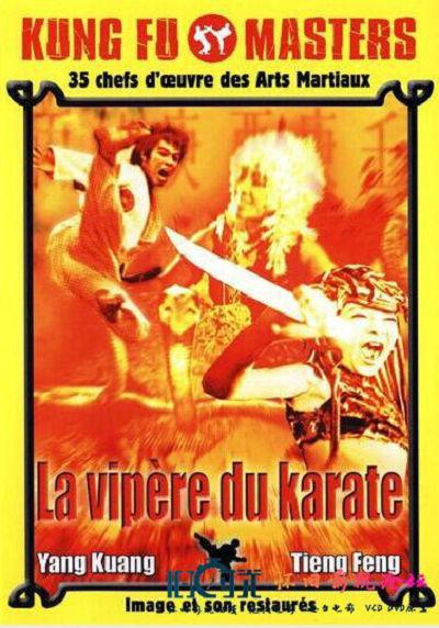 《蛇魔女大闹都市》电影封面