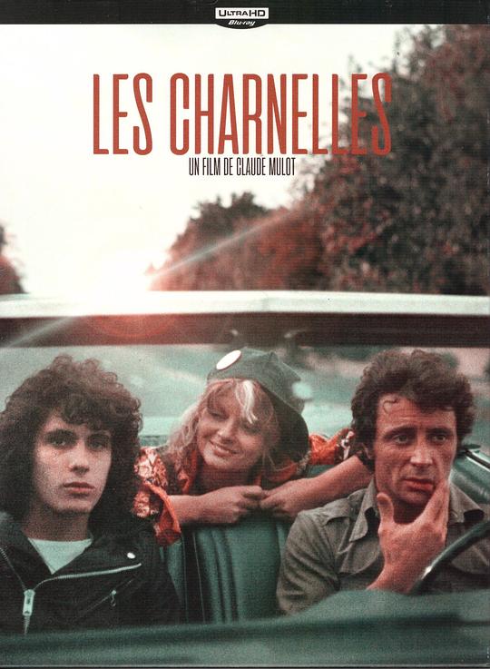 《肉体》电影封面