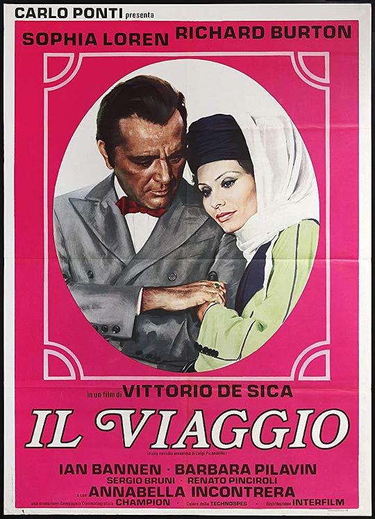 《相见恨晚》电影封面