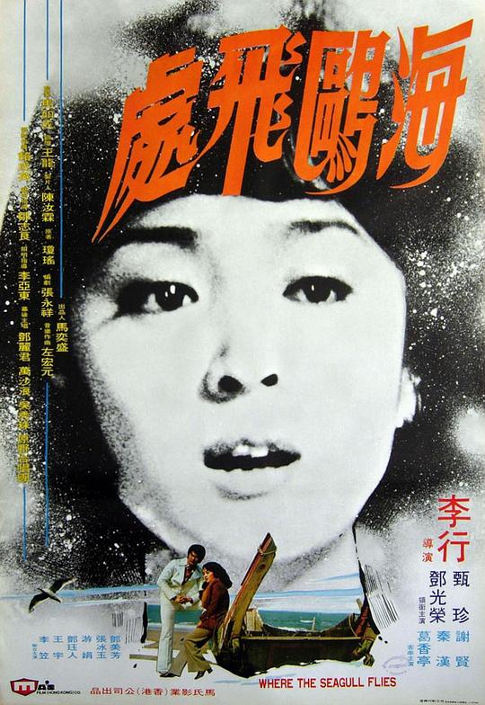 《海鸥飞处》电影封面