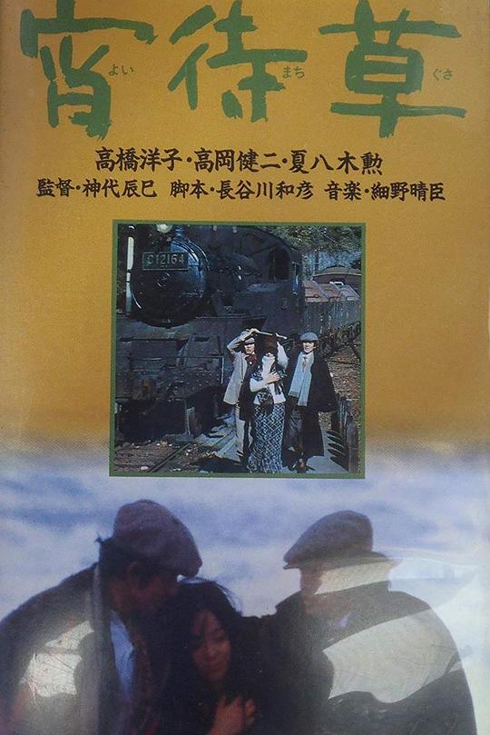 《宵待草》电影封面