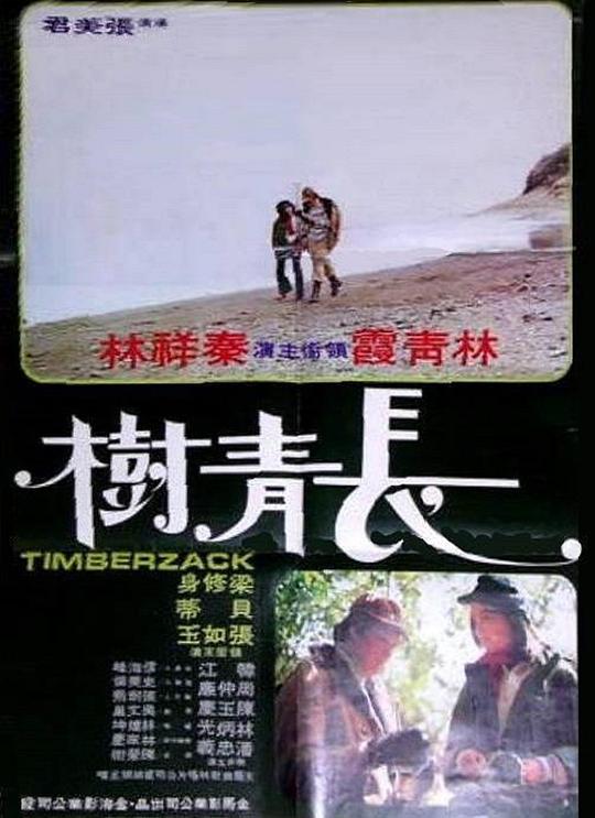 《长青树》电影封面