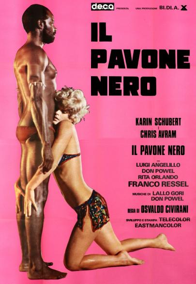 《白孔雀黑孔雀》电影封面