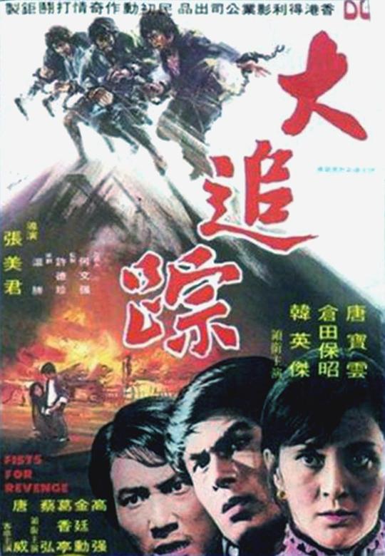 《大追踪》电影封面