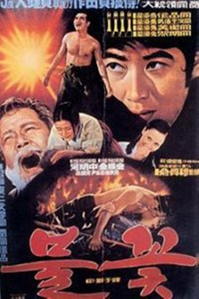 《火花》电影封面