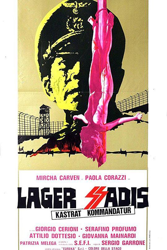 《纳粹军妓血泪史》电影封面