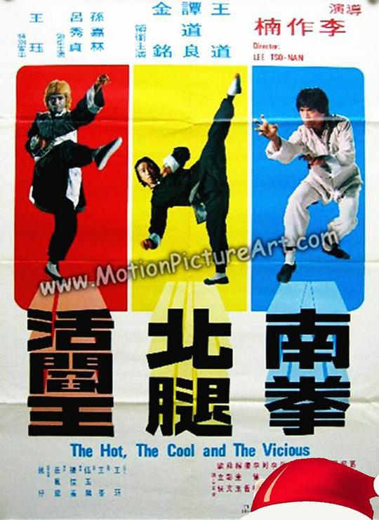 《南拳北腿活阎王》电影封面