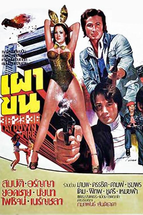 《Lay Down and Fire》电影封面