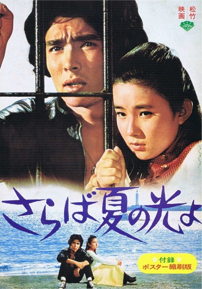 《再见，夏日之光》电影封面