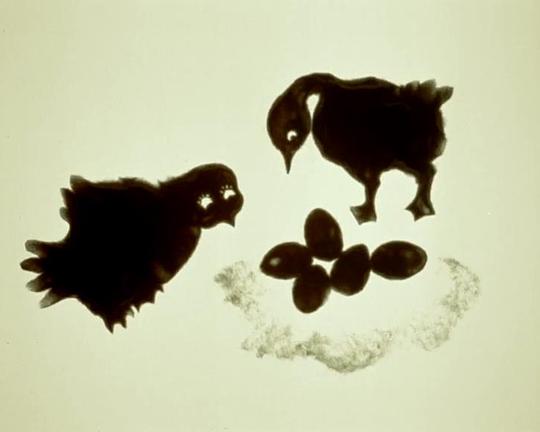 《娶了鹅的猫头鹰》动画封面