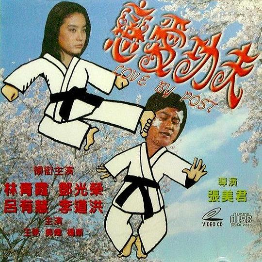 《恋爱功夫》电影封面