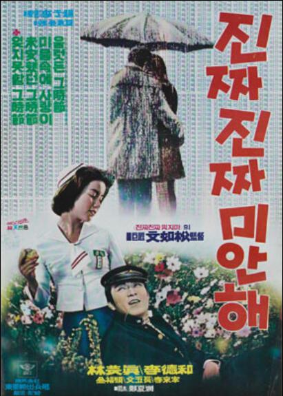 《真的真的对不起》电影封面