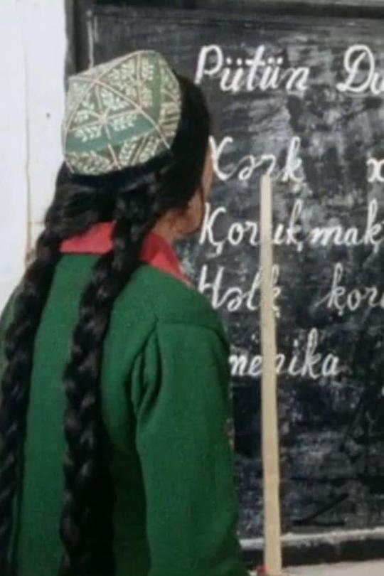 《新疆的维吾尔族》纪录片封面