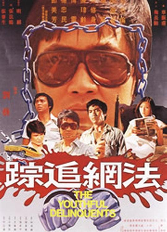 《法网追踪》电影封面