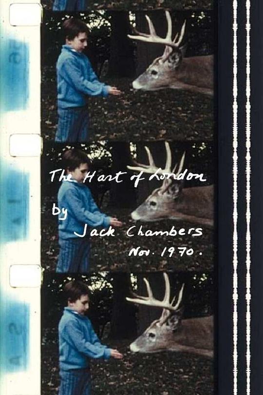 《伦敦的鹿》电影封面