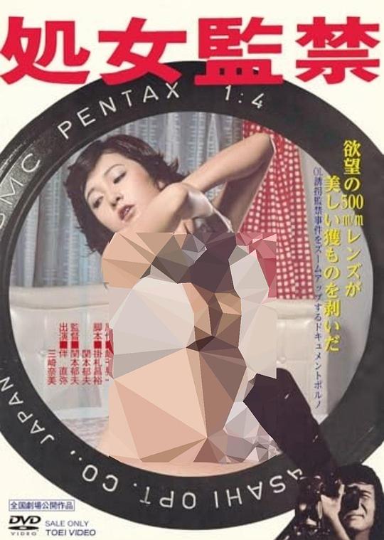 《処女監禁》电影封面