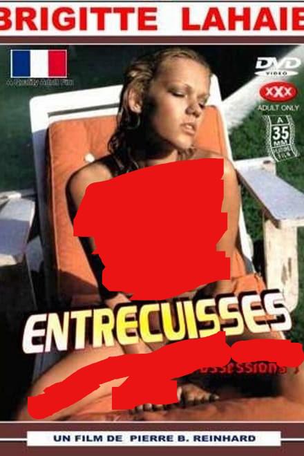 《占有》电影封面