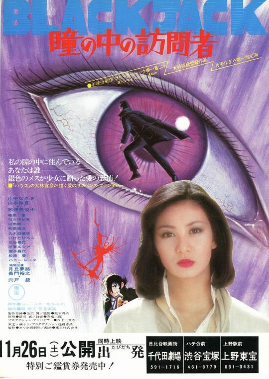 《瞳孔中的访问者》电影封面