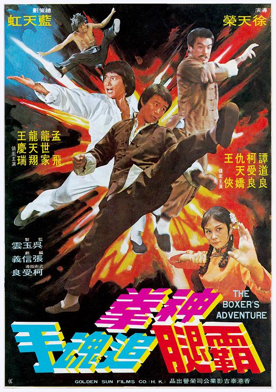 《神拳霸腿追魂手》电影封面