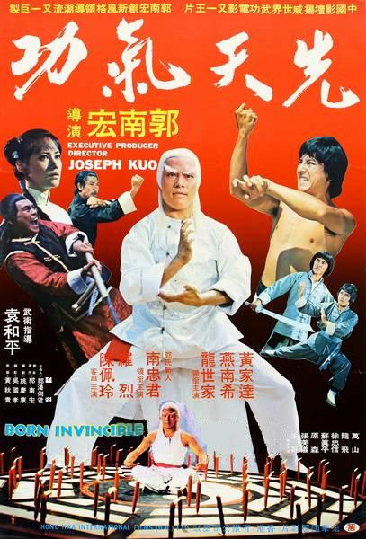 《太极气功》电影封面