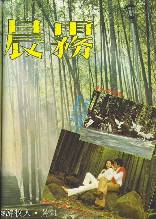 《晨雾》电影封面